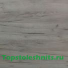 4040  Британский  дуб