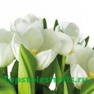 3057 Чиллаут